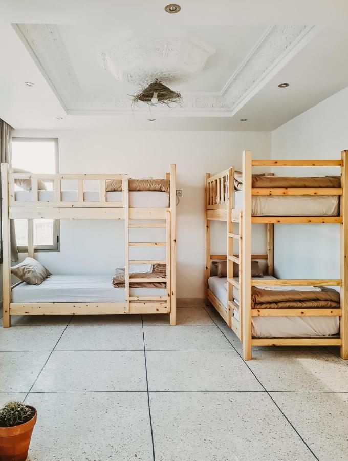 Tamraght Cactus Surf Houseホステル エクステリア 写真