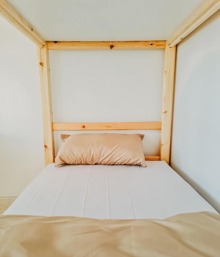 Tamraght Cactus Surf Houseホステル エクステリア 写真